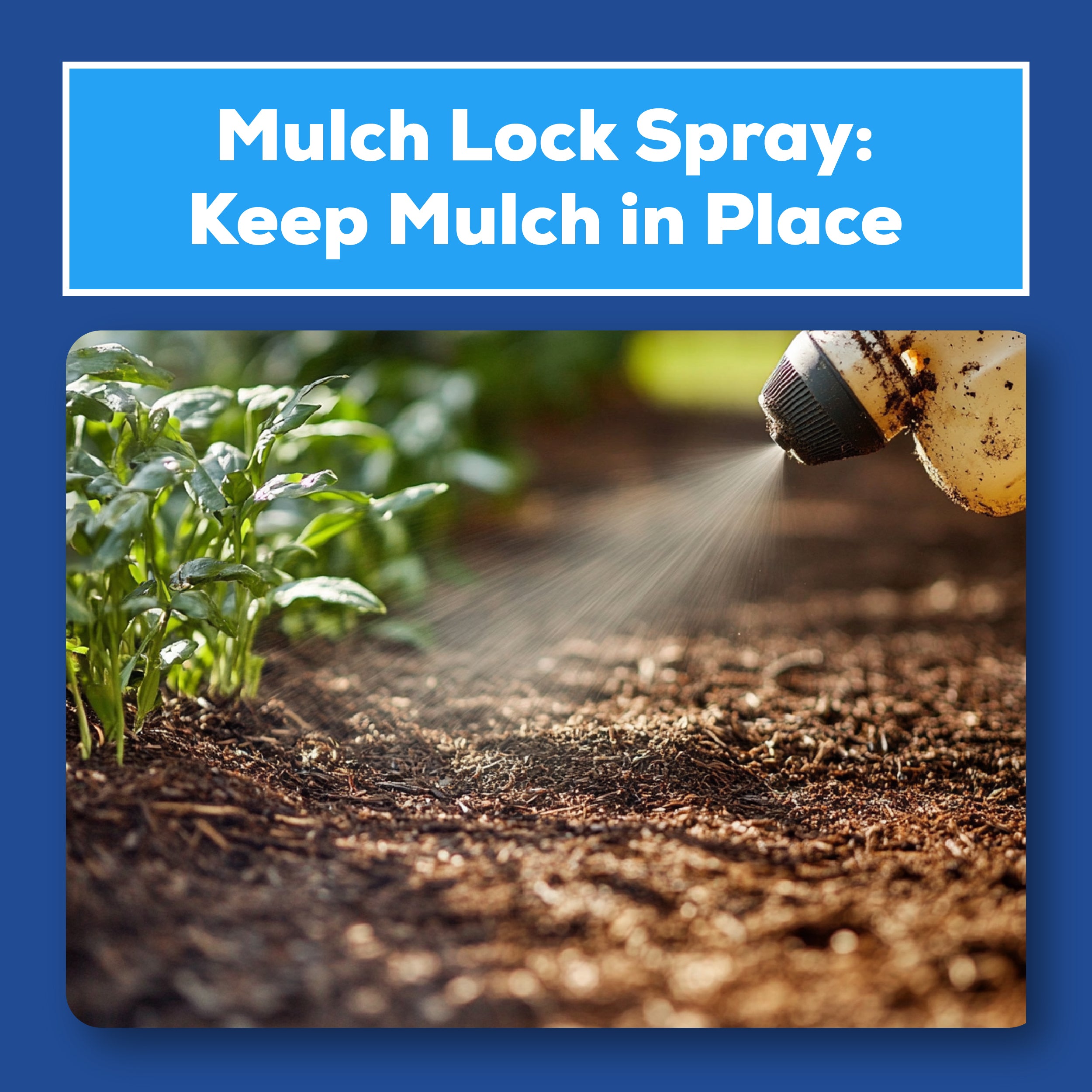 Mulch Lock Spray: The Convenient Way to Keep Mulch in Place