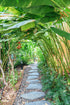 Superclear TerraLock Mulch Glue